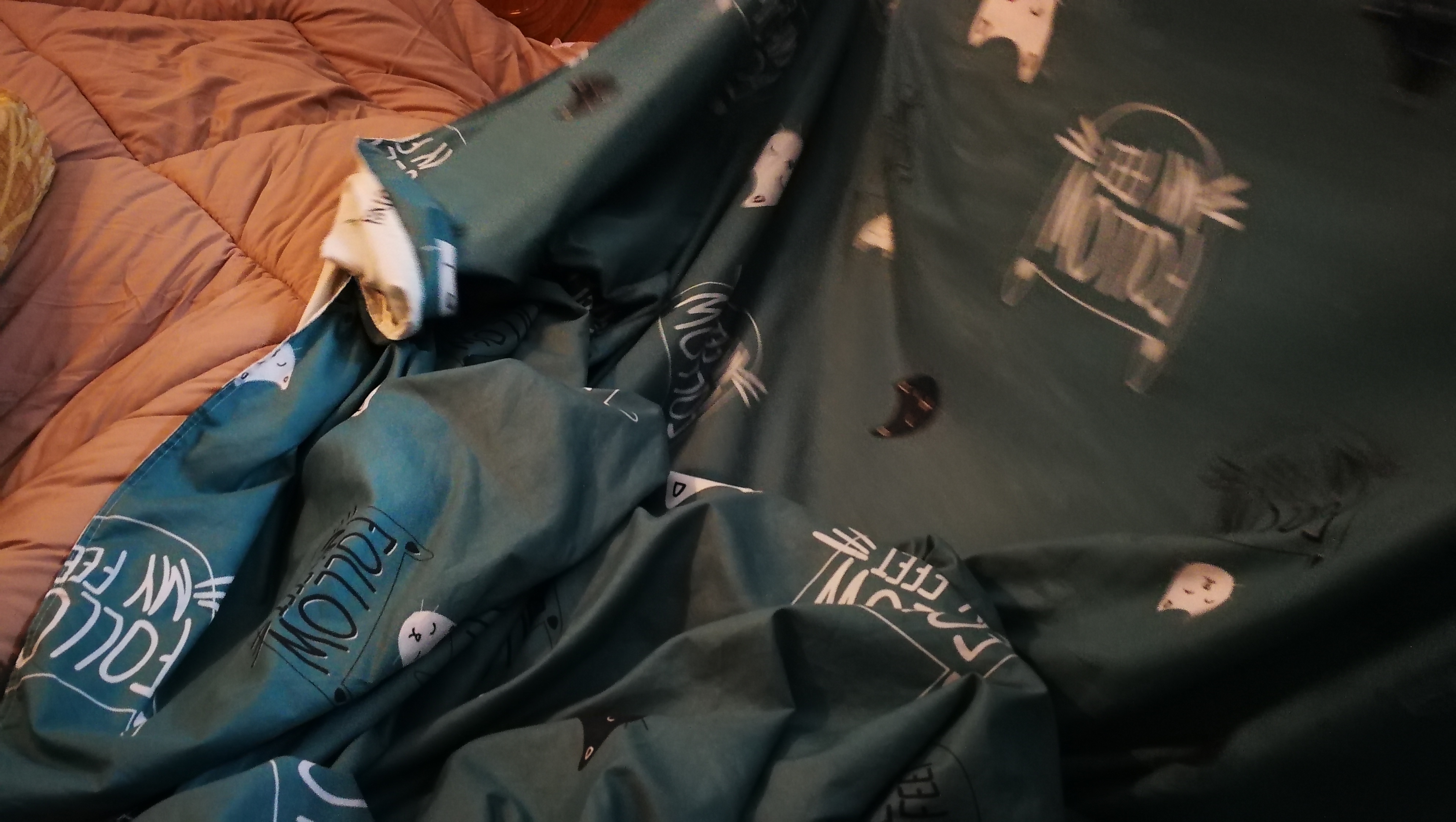 今冬只能自己装棉被了，鸡手鸭脚，还有更难看的吗？