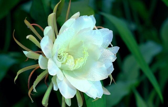 你一无所有的时候你就会东山再起,当你一无所有的时候才幡然悔悟