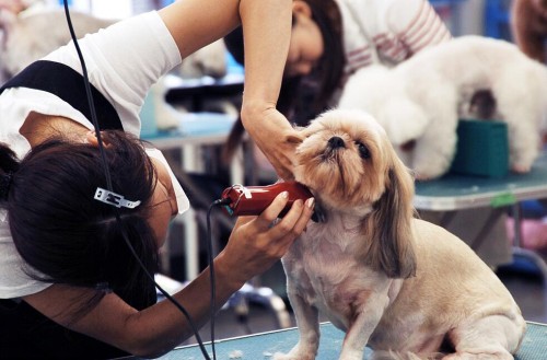 女生现在开什么店比较合适,现在女生开什么店比较适合