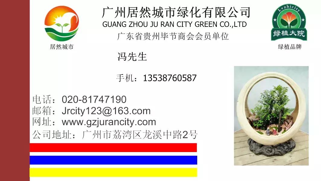 各类盆栽花语大全及寓意,各绿植寓意名字及花语大全