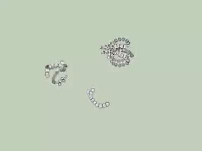 水产养殖藻类老化是怎样的,水产养殖显微镜下各种藻类