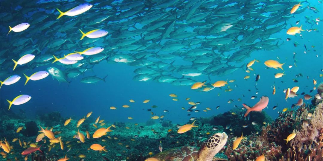 最适合十二星座旅游目的地,12星座各适合去哪里旅游