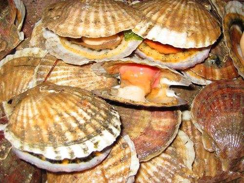 大连长海县海鲜自助,长海县海鲜预订