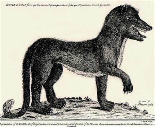 狼人被击中的真实事件,史上最真实狼人事件