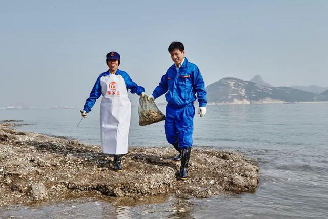 乳山生蚝也许是性价比最高的生蚝,正宗乳山生蚝上市了来尝鲜