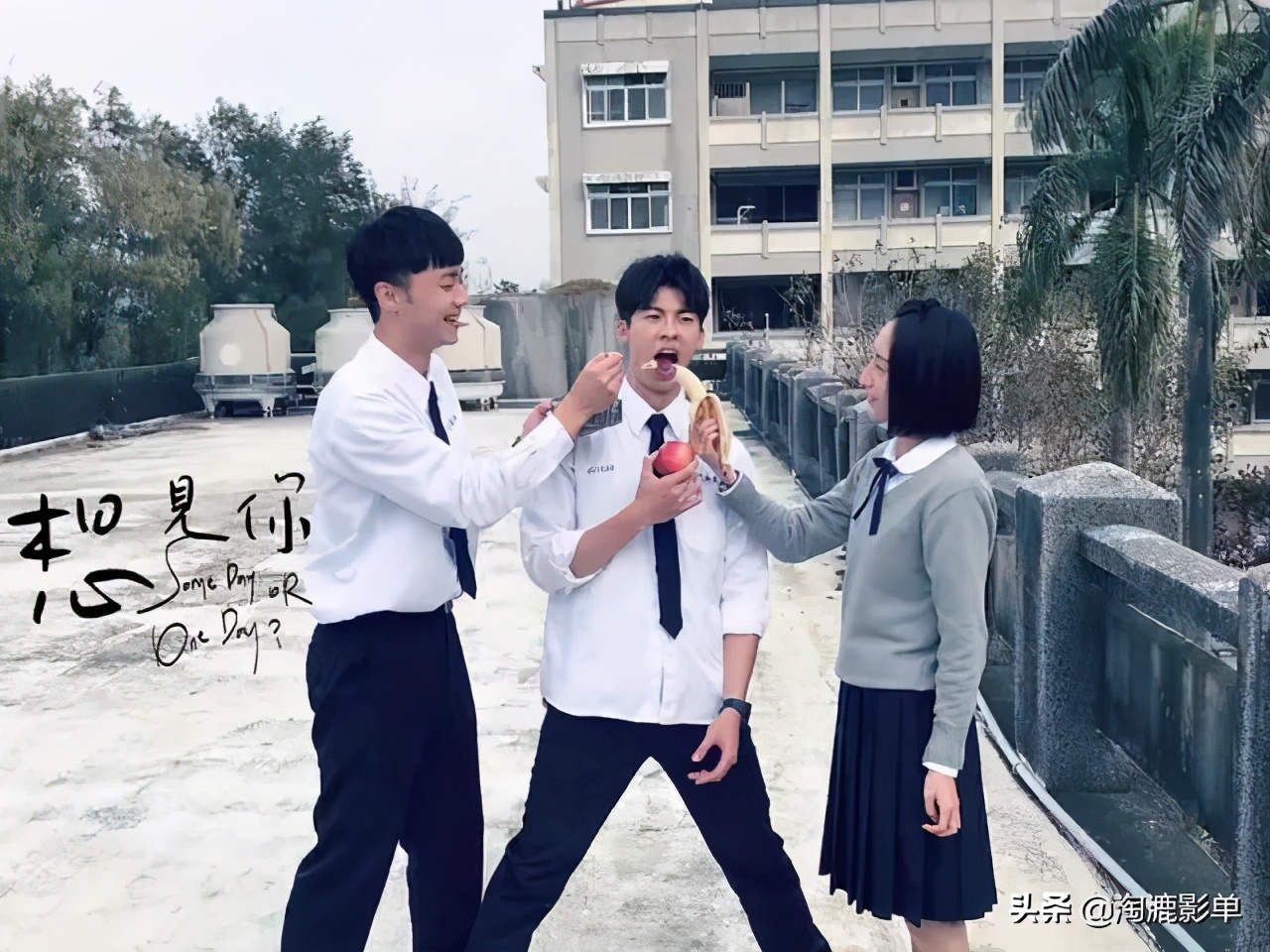 国产口碑炸裂的10部顶级悬疑剧,最新好看的悬疑剧有哪些