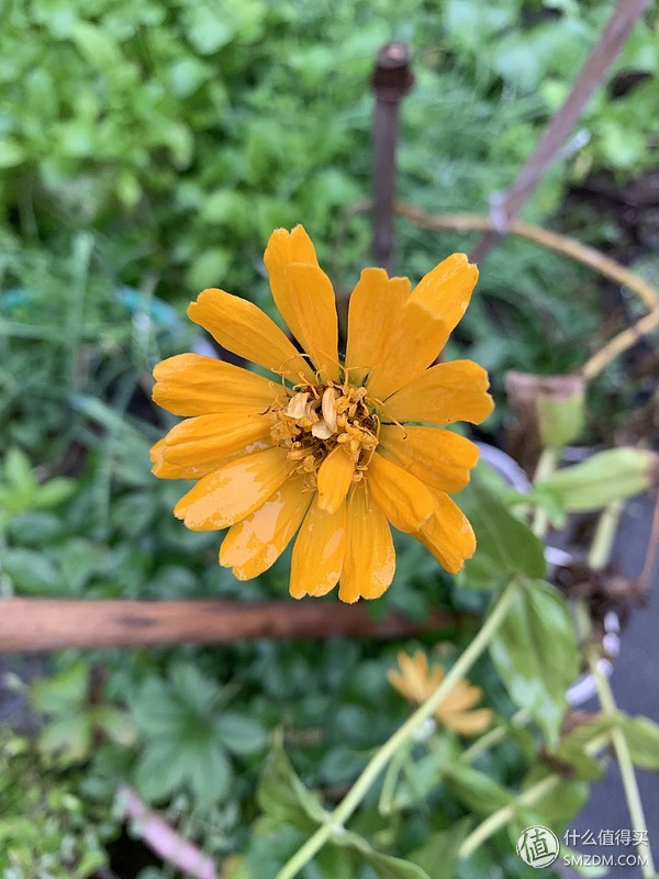 苹果iphonexr机型的最新分析和评测,刚出的苹果xr开箱测评