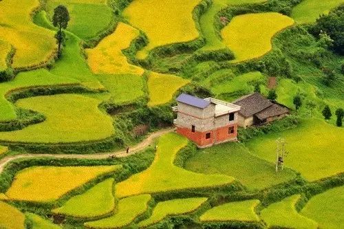 广州增城区宛若故里稻田里民宿,清远稻田田野民宿