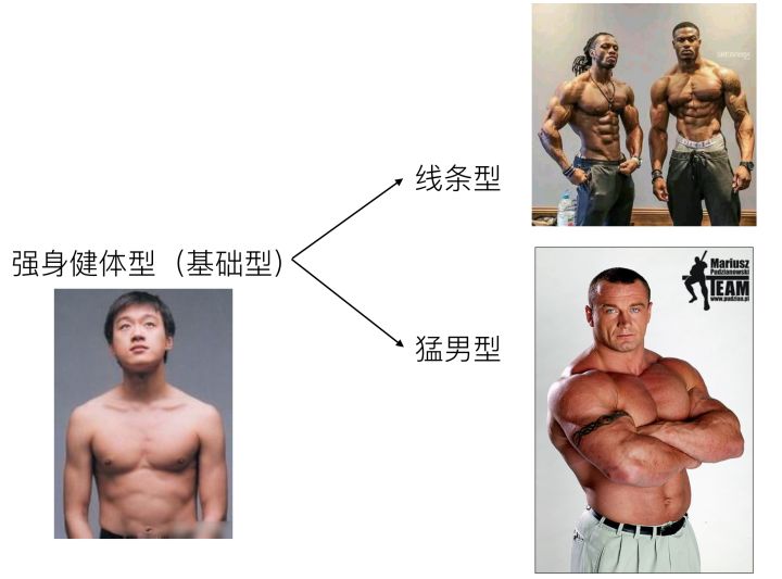 专业健身人士每日健身计划表,新手健身怎么安排六大项健身计划