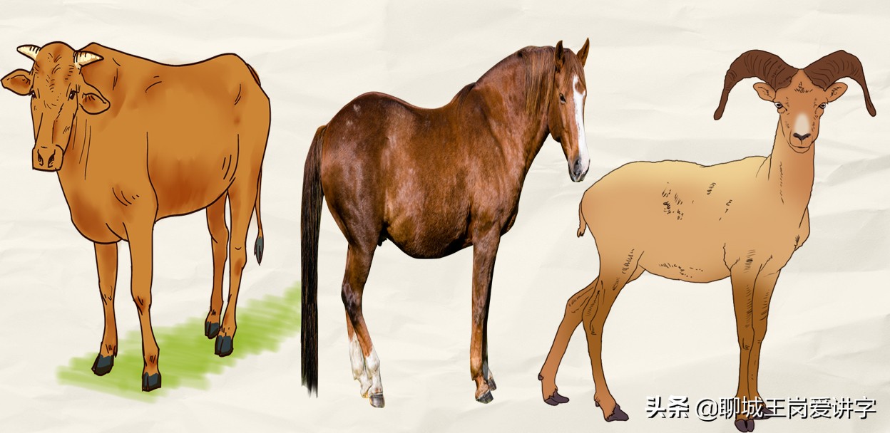 奇妙的汉字：“犇骉羴”你都认得吗？太有意思了，涨知识