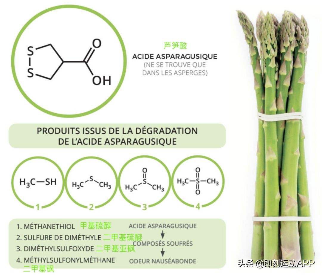 这才是芦笋最正确的做法营养健康,减肥食谱鸡肉卷芦笋