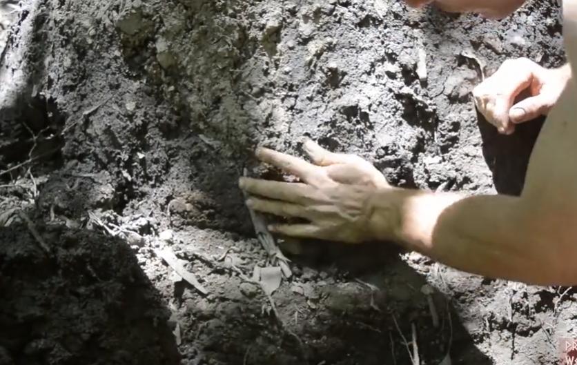 烧制木炭新技术,原始技术如何制作木炭