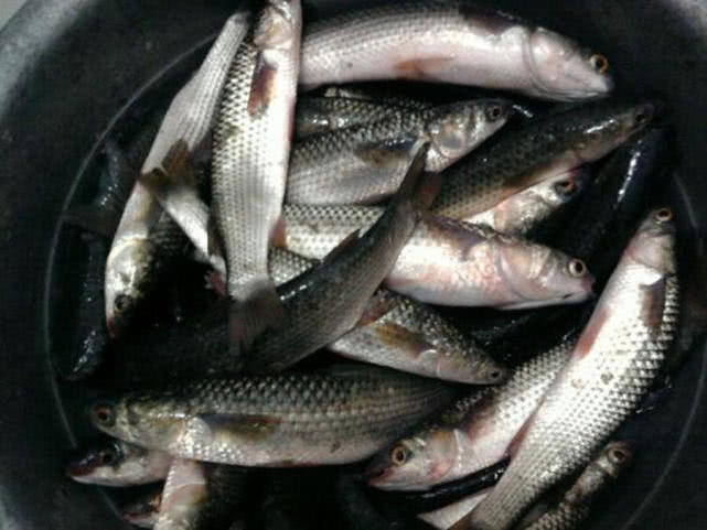 汽水钓海鱼视频,深水岸钓海鱼