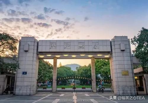 湖南农业大学茶学专业怎么样,广西有哪些高校开设茶学