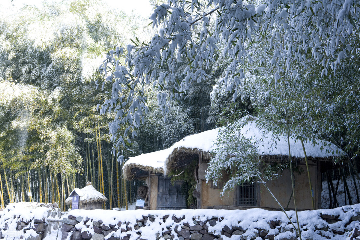 北京下雪了描写雪景最美的短诗,描写北京雪景诗词最美十首