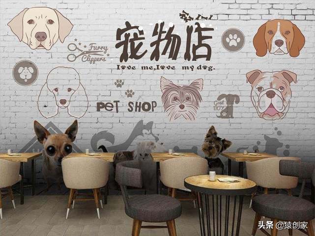 想要经济独立的姐妹看过来,想经济独立的女人素材