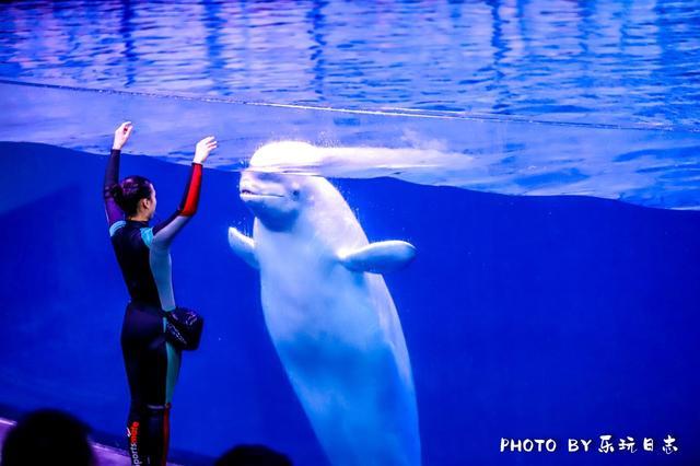 珠海亲子游必玩景点,珠海一日游适合带孩子玩的景点