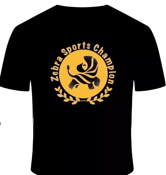 斑马少年运动平台,斑马少儿体能训练中心