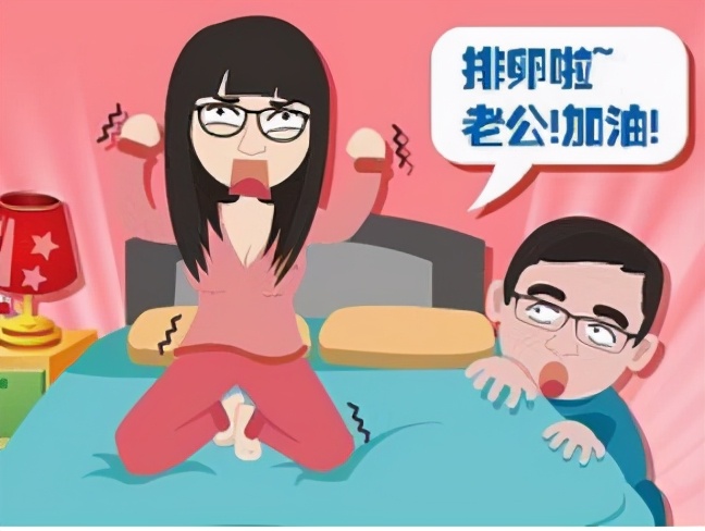 腔内彩色多普勒超声检查排卵监测,阴式彩超检测排卵