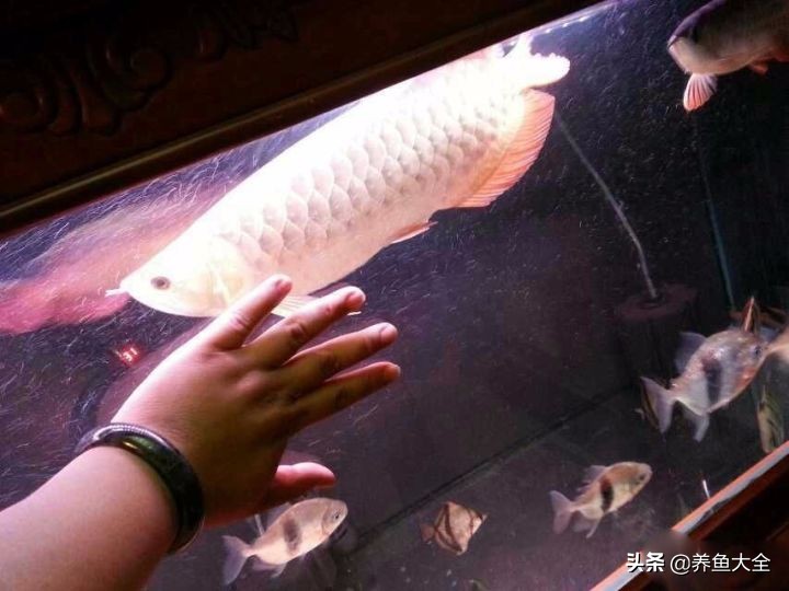 我要离婚老婆不同意,我要离婚老婆也要离婚