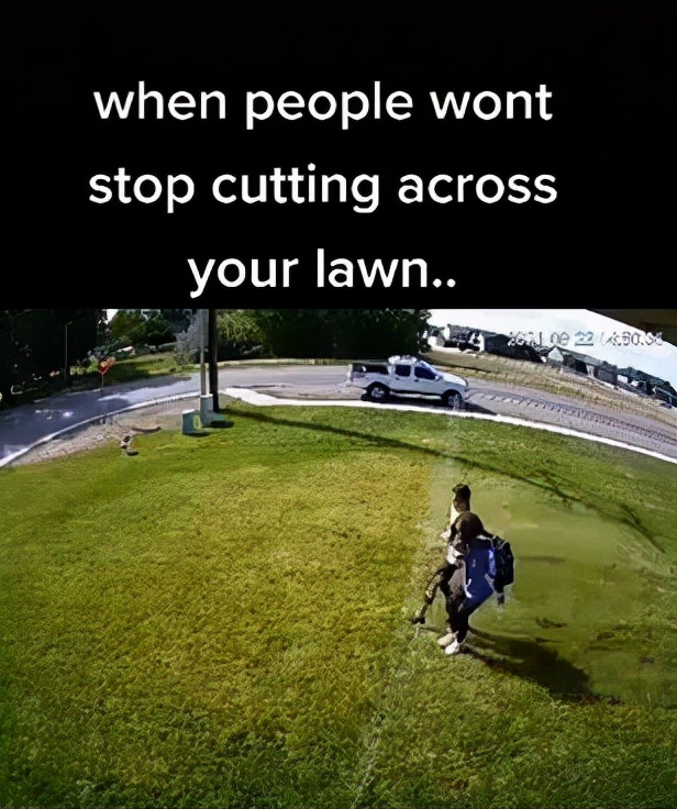 有人踩踏草坪怎么解决,有人在踩踏草坪解决办法