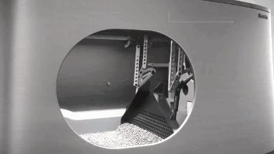 吃一样的猫粮为啥有些猫屎特别臭,猫屎很臭的原因