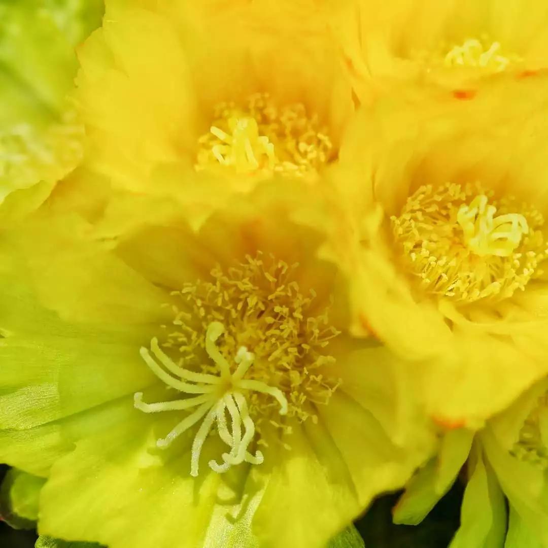 十首绝美唐诗赏析,最美十首唐诗经典加赏析