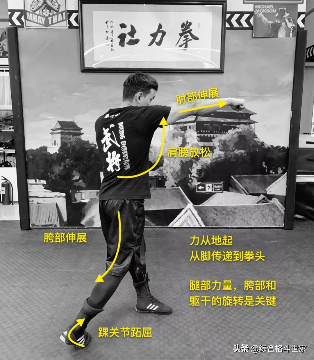 动漫中的「街头最强格斗技」