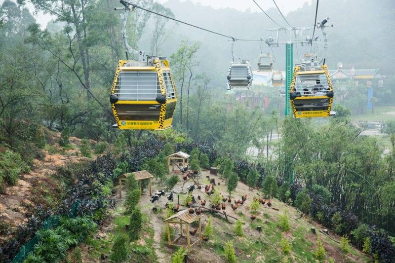 广州长隆野生动物世界游览图,广东广州长隆野生动物世界