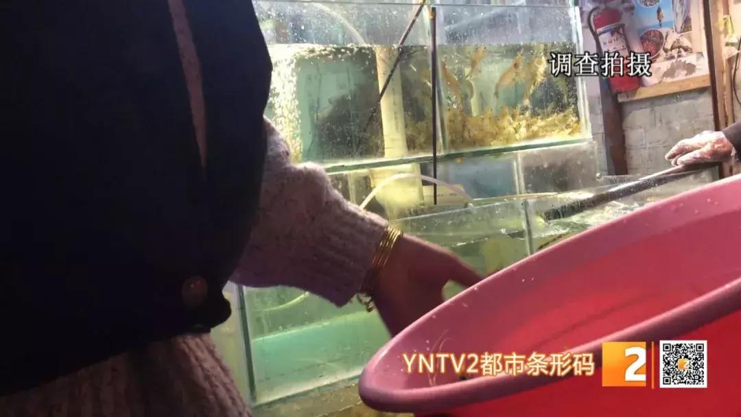 活皮皮虾用盐水泡着会死吗,皮皮虾泡水里几分钟就死了