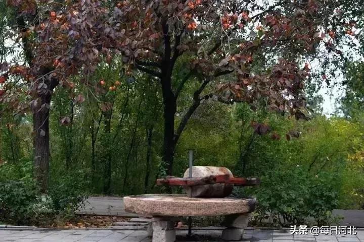 閲庣敓婧愬害鍋囨潙,閲庣敓鍘熷害鍋囨潙寰掓