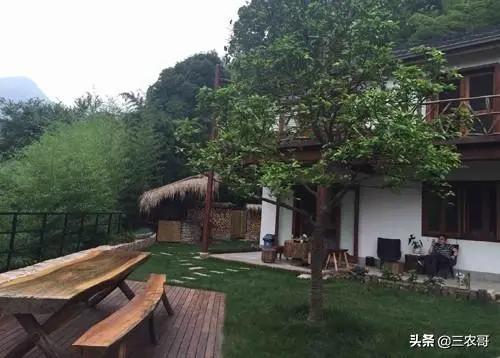 农村适合做什么项目赚钱,适合农村做的项目投资少见效快