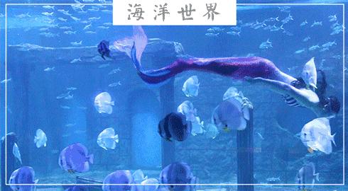 北京老牌水族馆富国海底世界，49.9元1大1小探险蓝色海洋的秘密