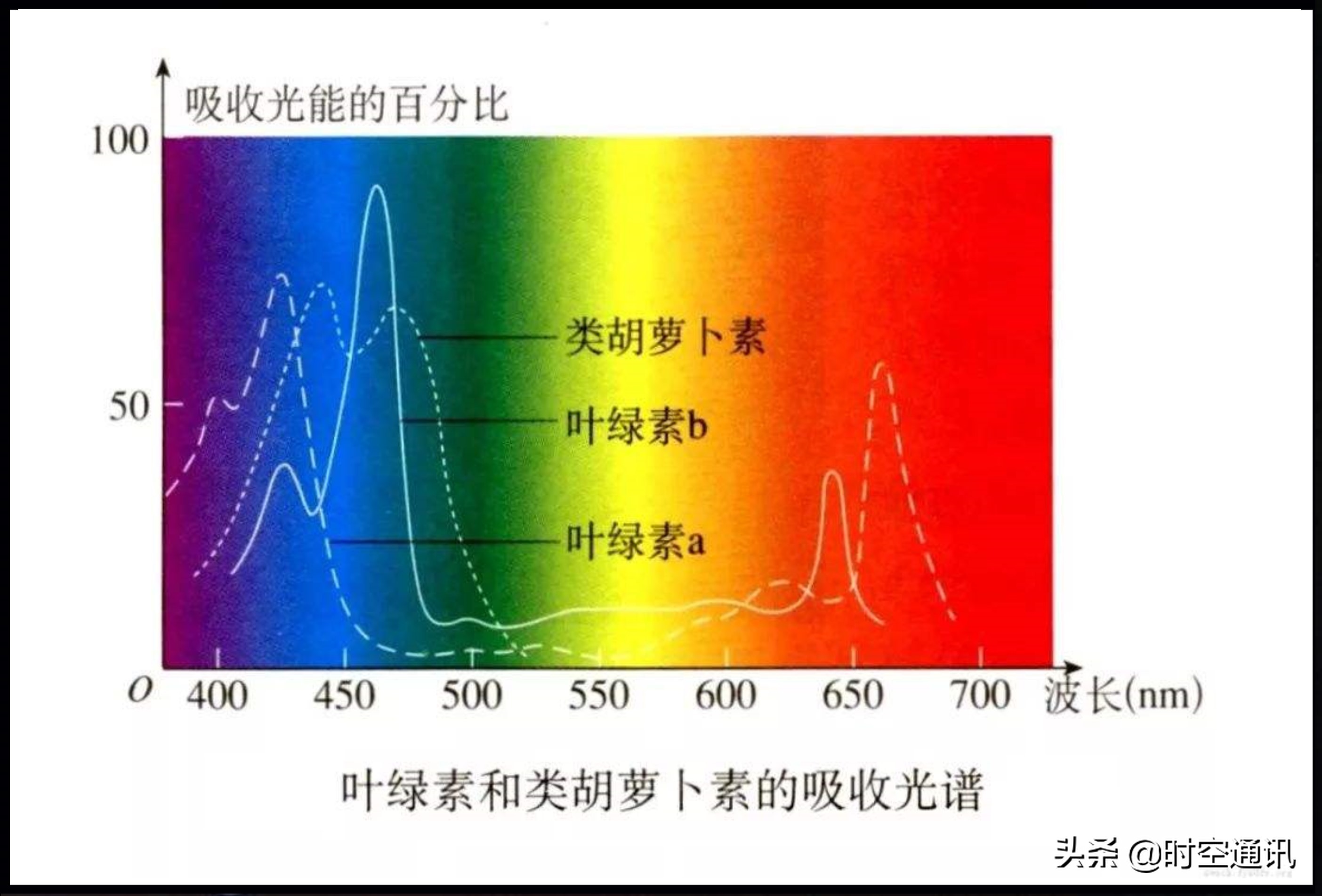 奇妙无比的光充满我们的世界，但天一黑它们都去哪儿了？