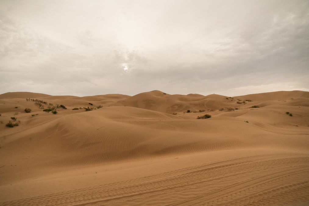 她是滔滔千里黄河的宠儿，阴山之下、河套之上的掌上明珠