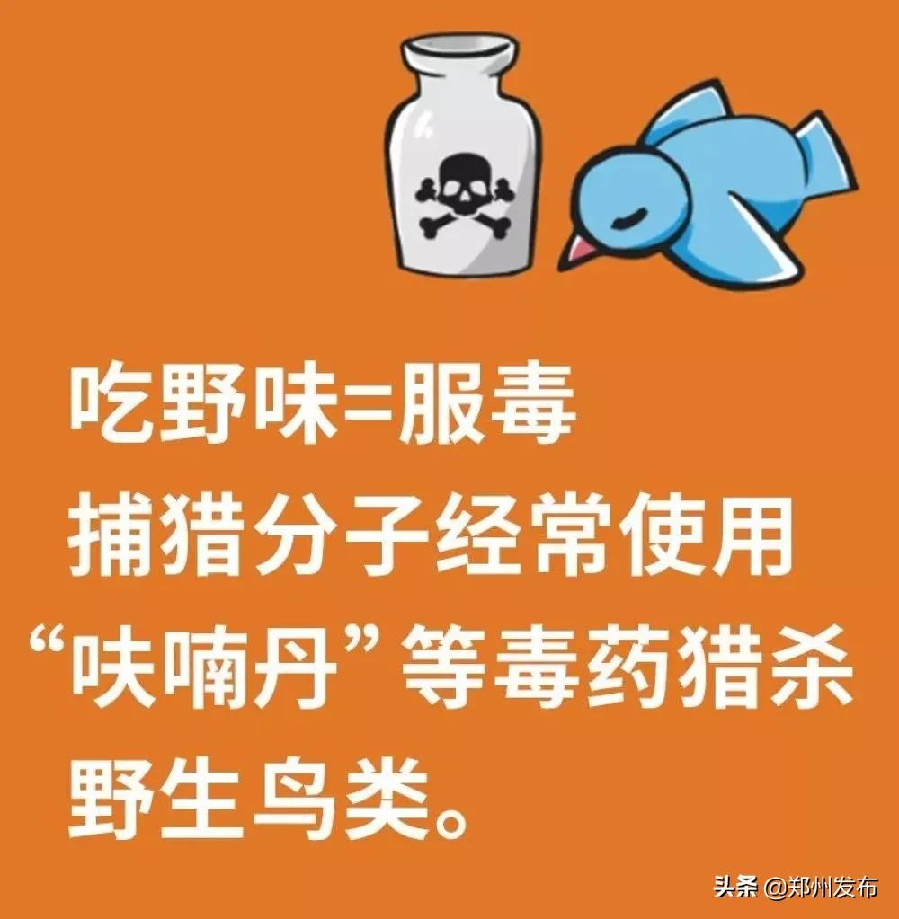 野味都有什么动物,哪些动物属于野味