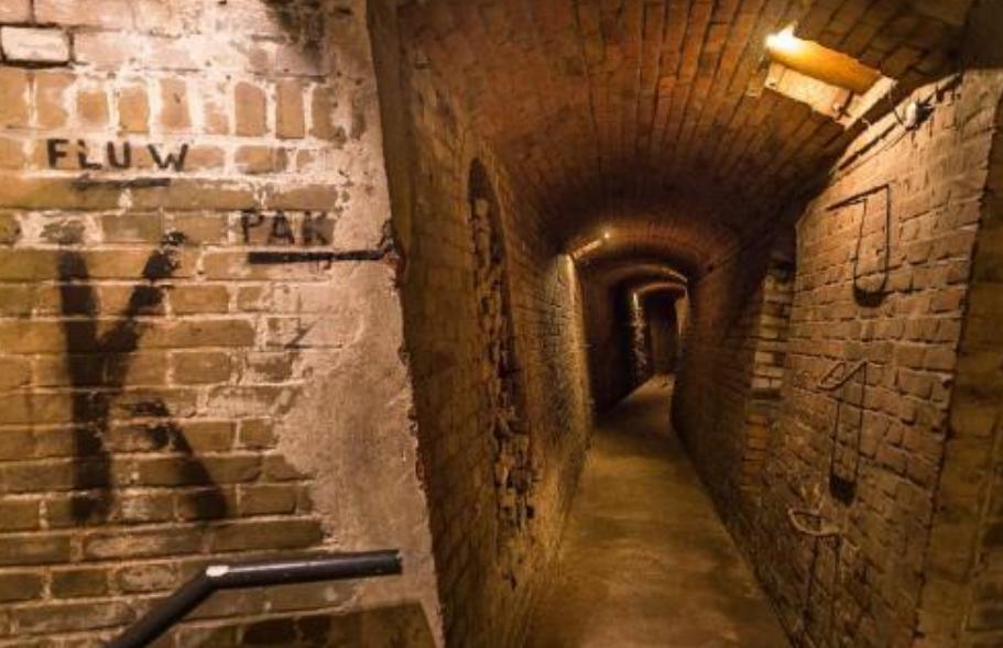 孔祥熙的后代在美国的影响力,孔祥熙后人在美国的境况