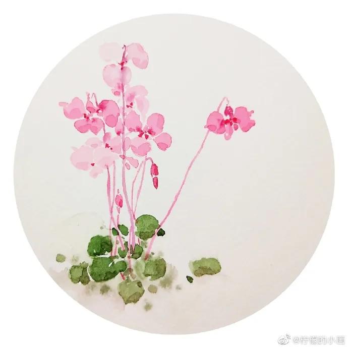 分享一组好看的小清新水彩插画,不来看看简单水彩小插画的教程吗