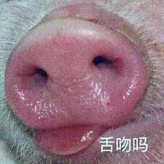 仓鼠怎么分辨一线和三线,三线仓鼠大战一线仓鼠