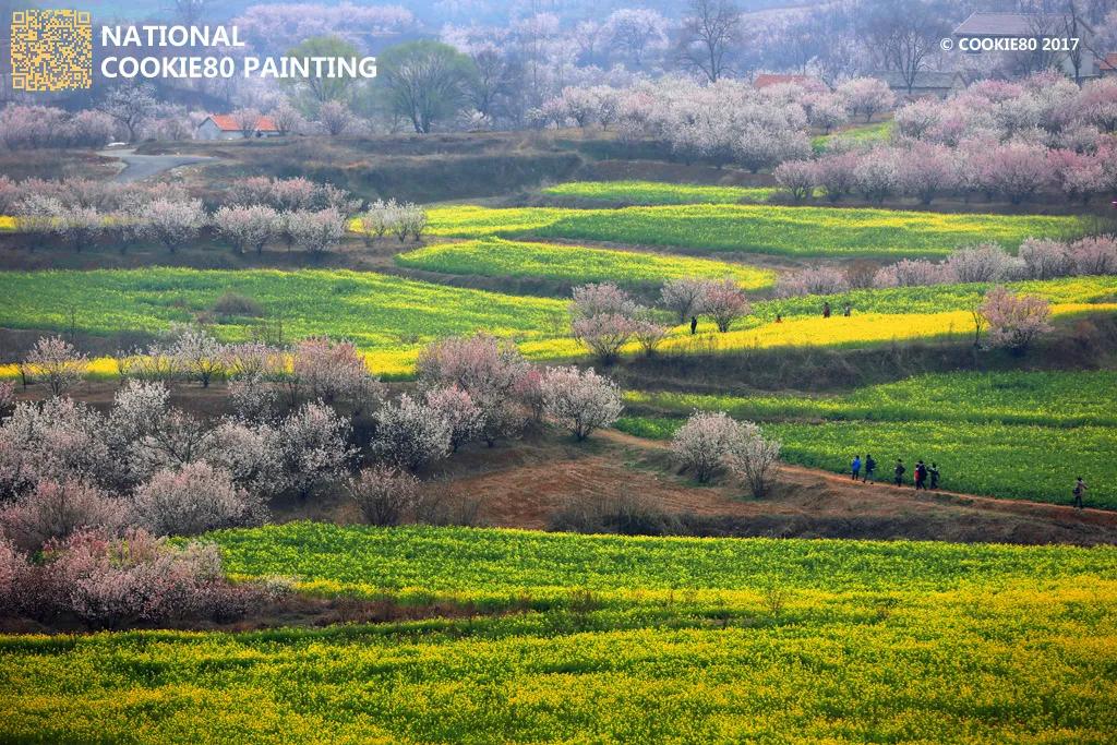 徐州清明假期旅游攻略,徐州春天去哪里旅游好