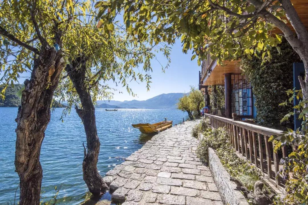 海南人会爬椰子树吗,会爬椰子树的海南人