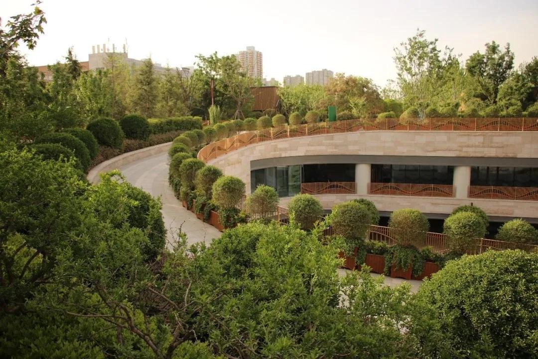 荣获乡村振兴优秀证书,2023乡村振兴成就奖