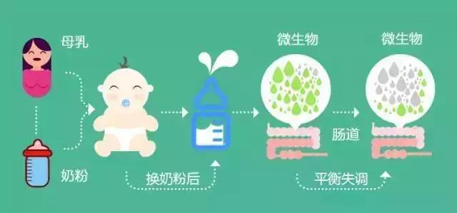 关于初生宝宝的这些“肠”识，很多妈妈可能不知道