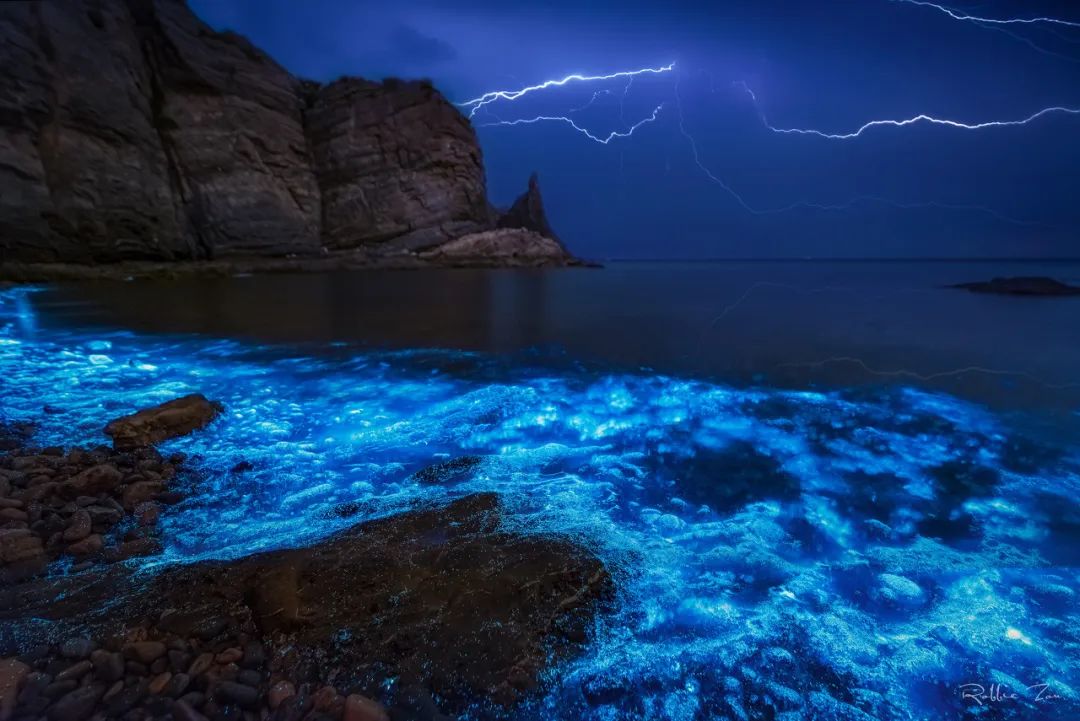 突然就想去成都了,突然想去青岛了