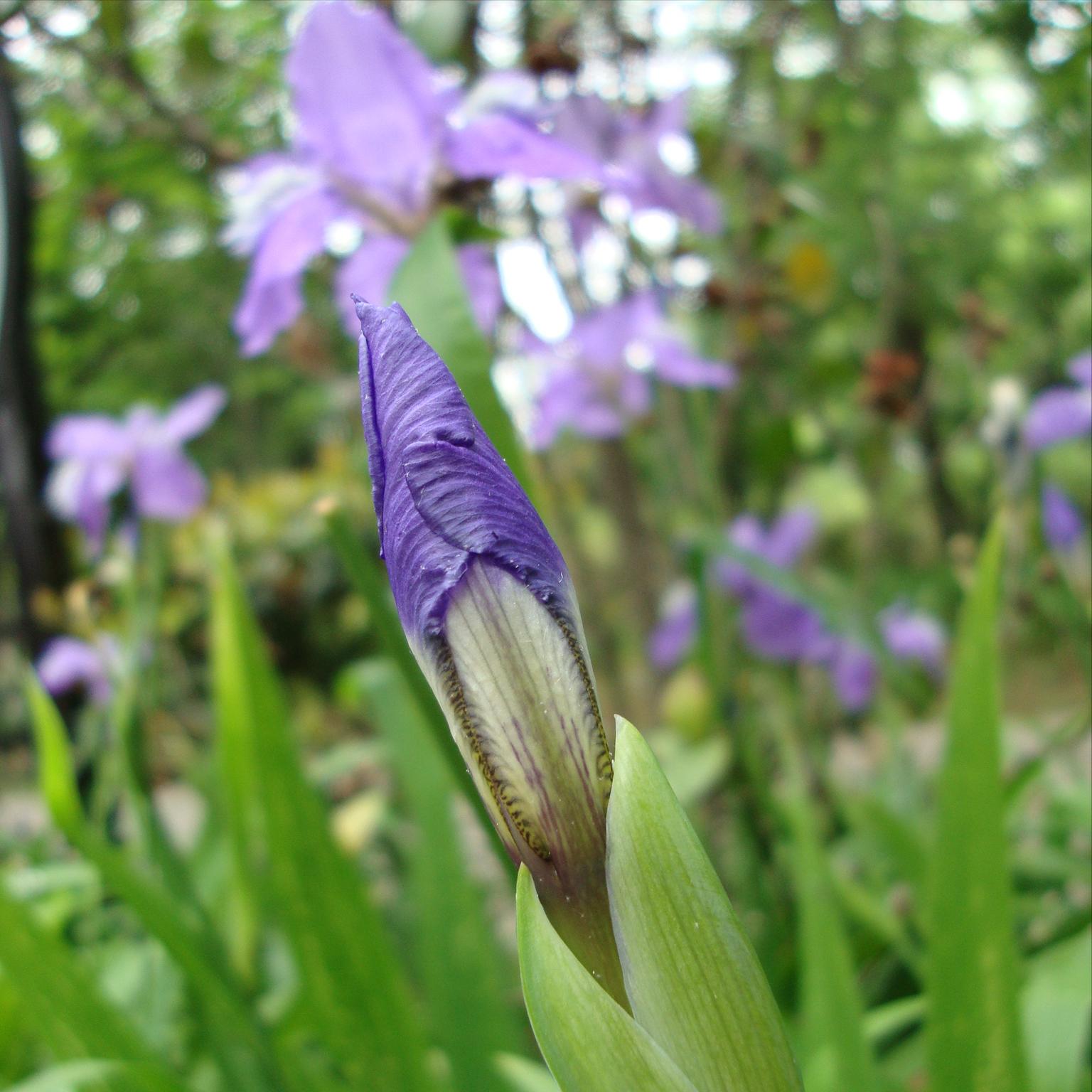 如何愉快的度过孕期,怎样规划自己的孕期生活