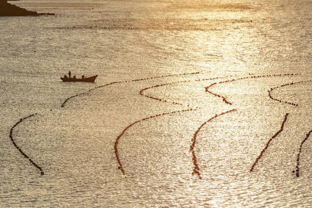 旅游三亚和厦门哪个更值得去,三亚和厦门哪个更值得去三亚旅游