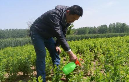 农村人开店出售除草剂，似乎非常有利可图，而且风险也很大。