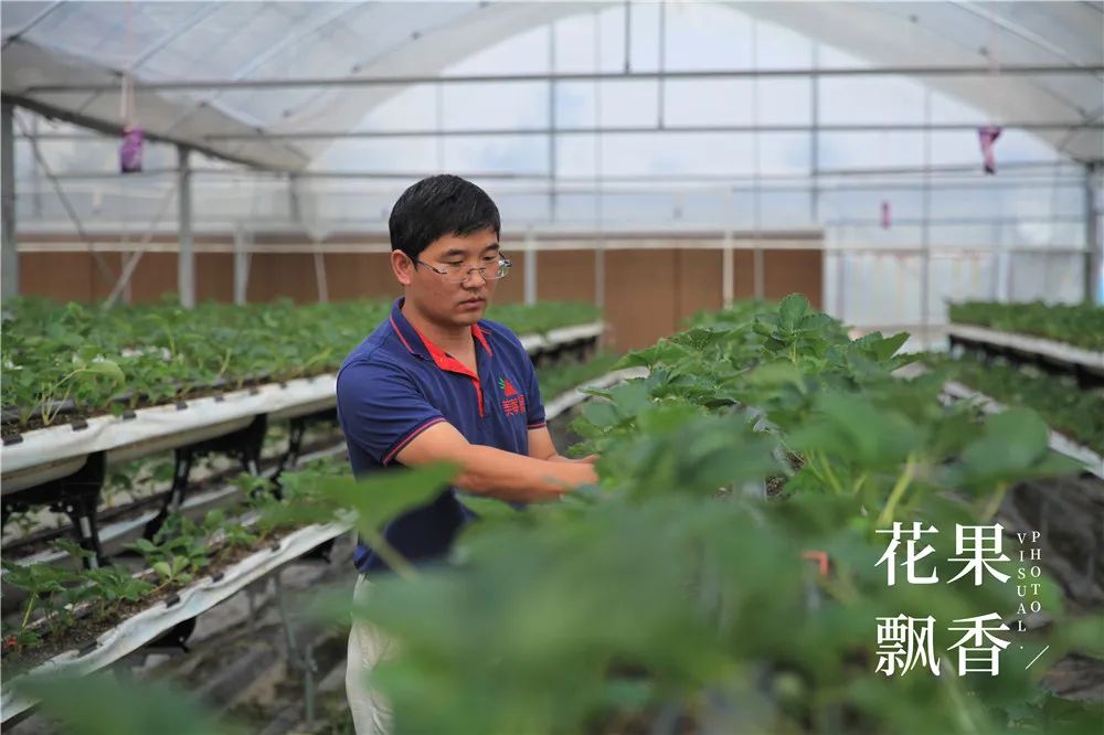 刘博士教种地,刘博士生涯规划