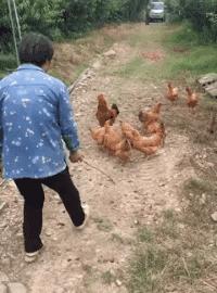 奥斯卡欠你一个影帝,100张搞笑gif少年