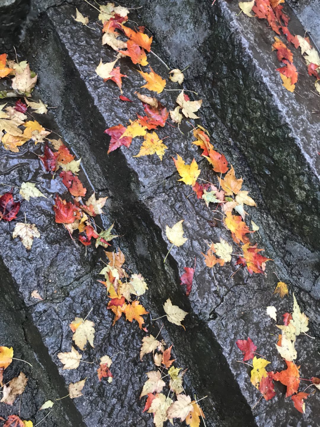 河南秋天十大秋景,河南秋景最美的地方